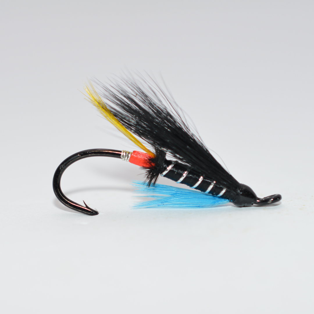 Atlantic Salmon Fly, Hairwing, Blue Charm - Red Tip – Dc Tackle