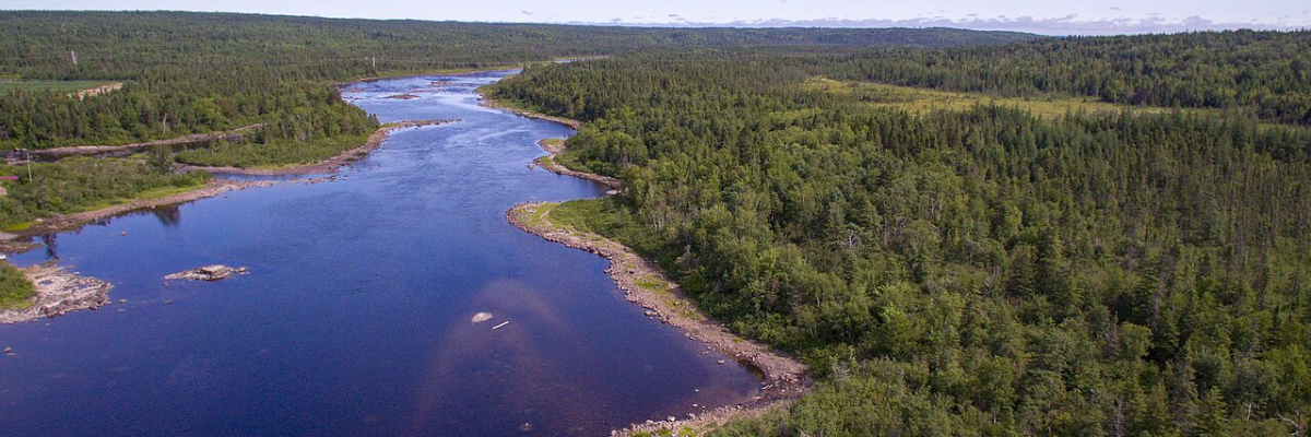Gander River Fly Selection