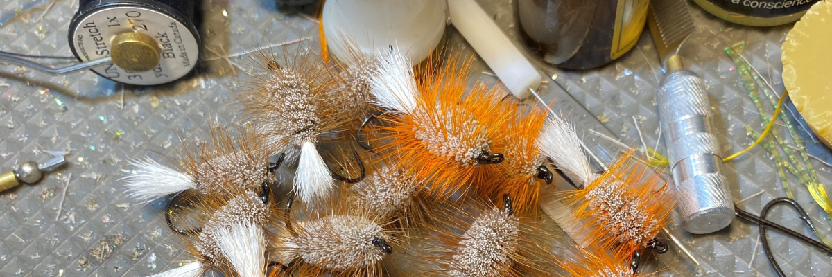 Atlantic Salmon Bugs