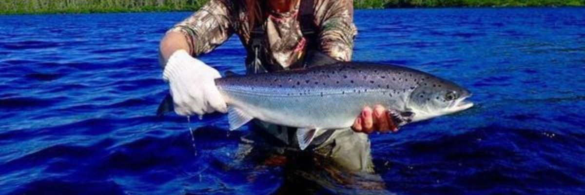 Fly Kits - Atlantic Salmon