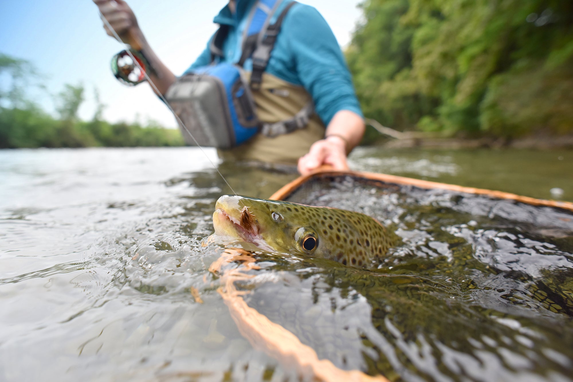 Fly Fishing