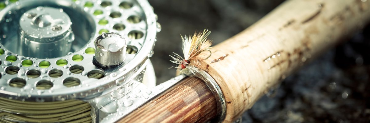 Fly Rods & Reels