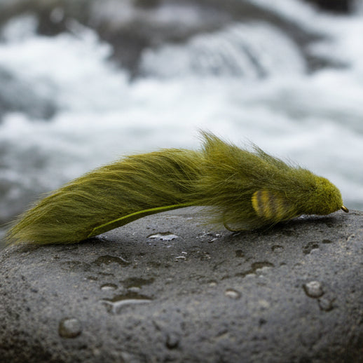 An olive-colored Woolhead Sculpin fishing fly resting on a bed of stones.