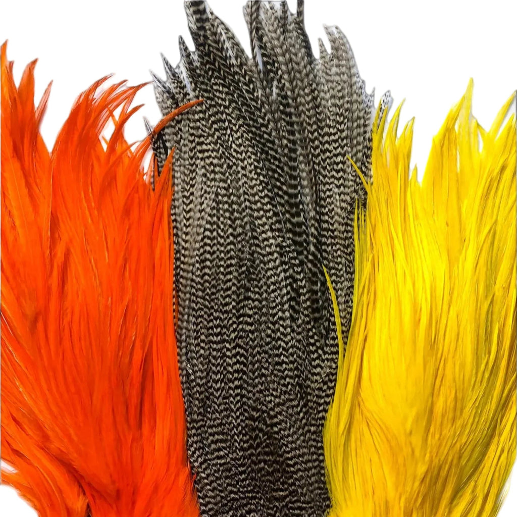 Three feathers in orange, gray, and yellow on a black background with 'Bomber Saga' branding.