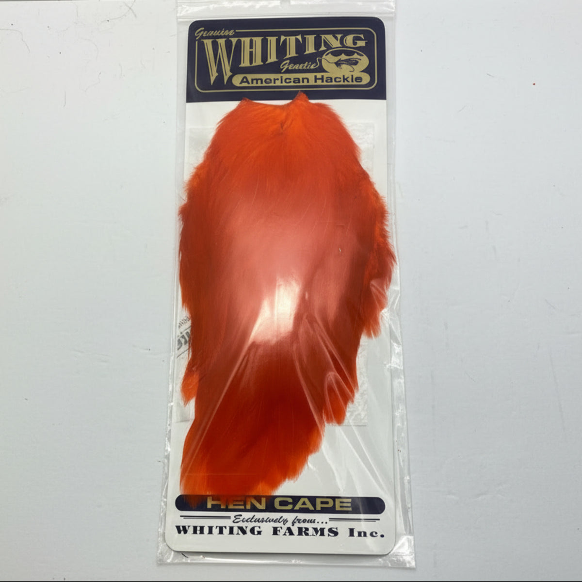 Whiting American Hen Cape. Orange
