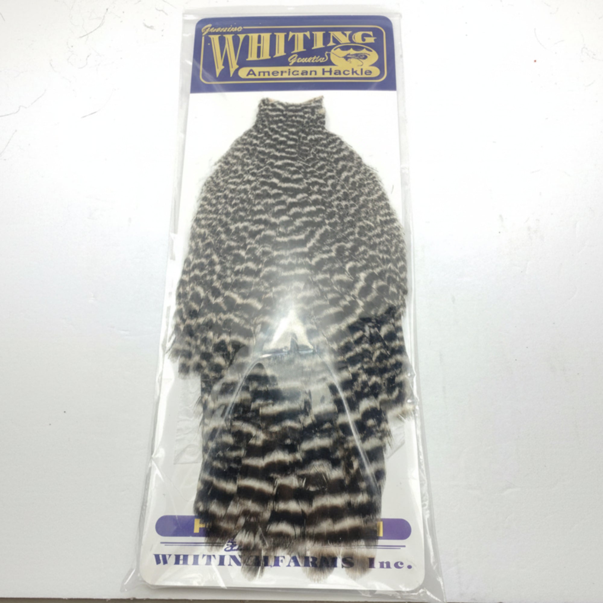 Whiting american hen cape. grizzly color