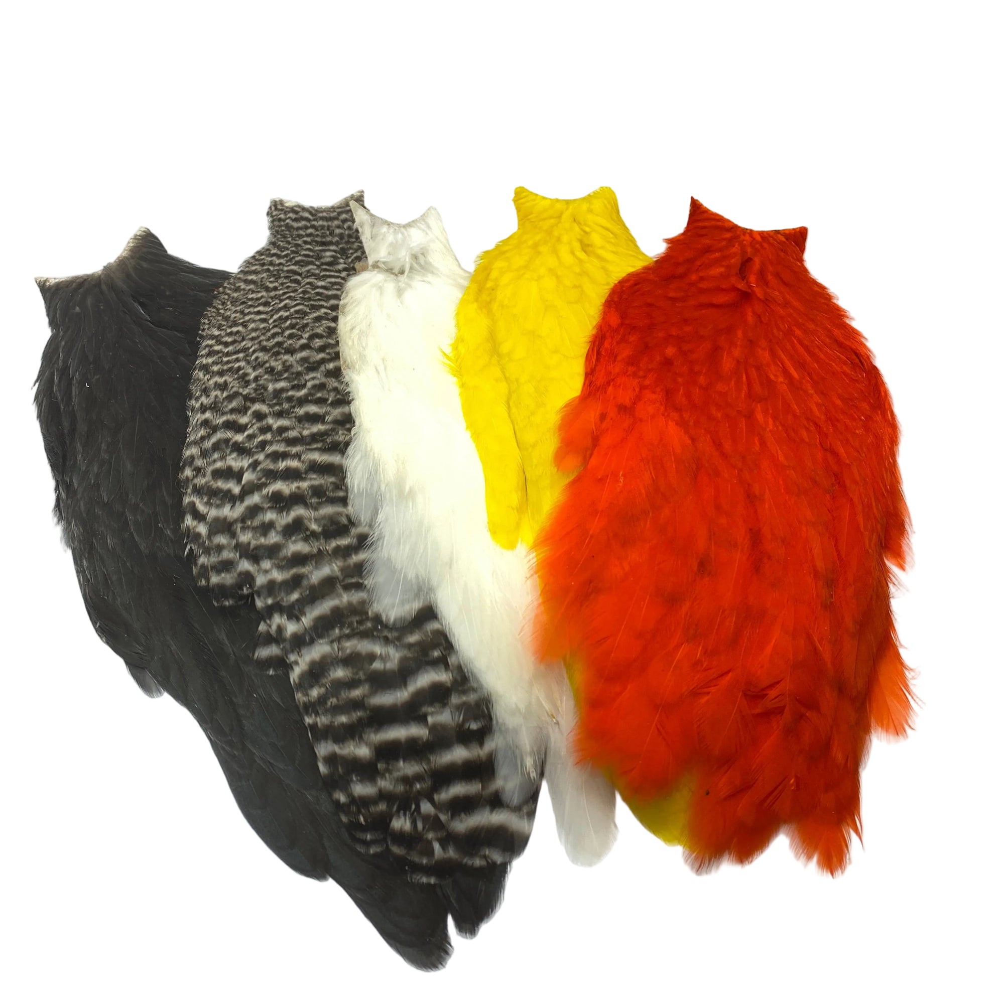 Whiting american hen capes