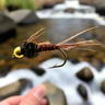 Beadhead Pheasant Tail