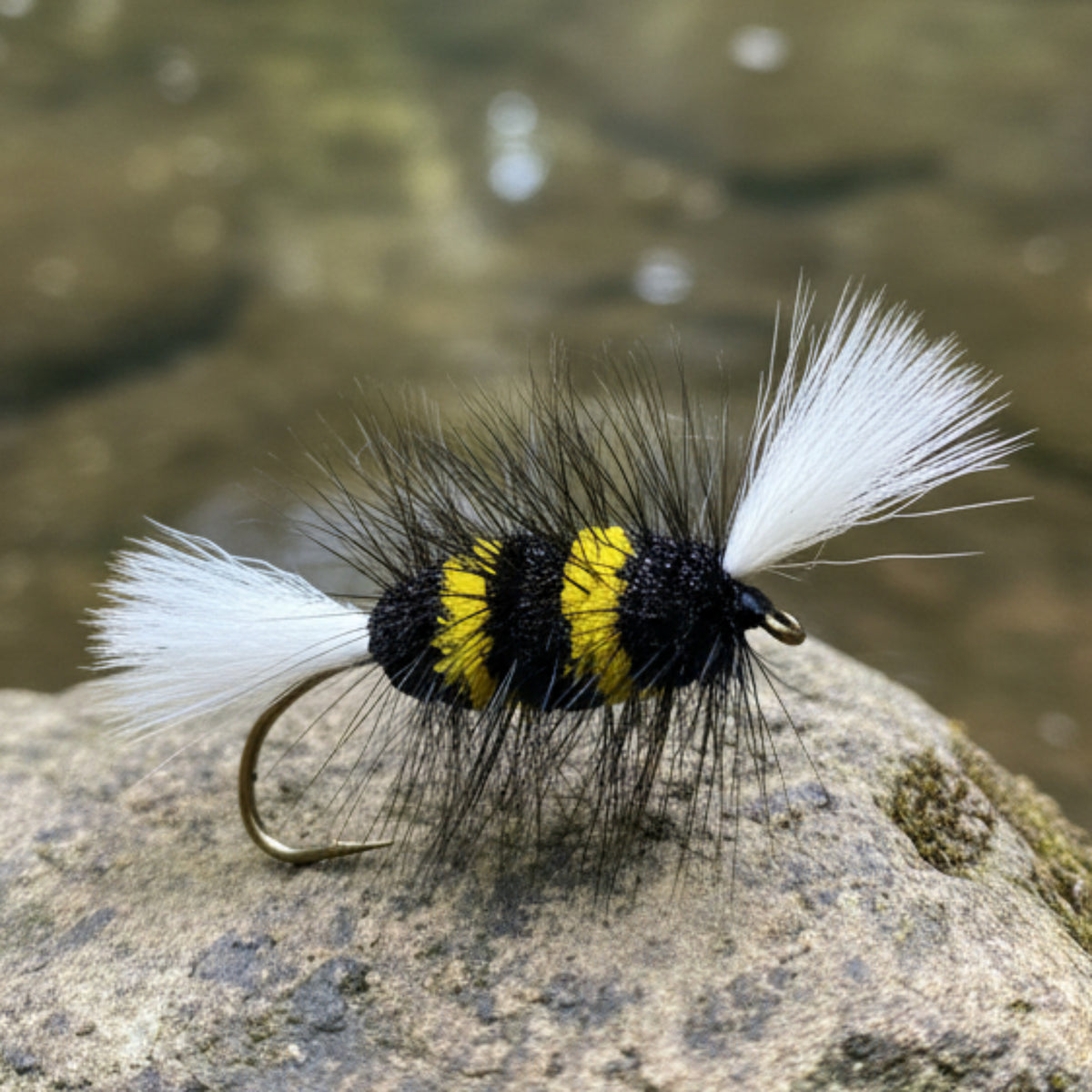 Fishing fly with black and yellow body on a white background