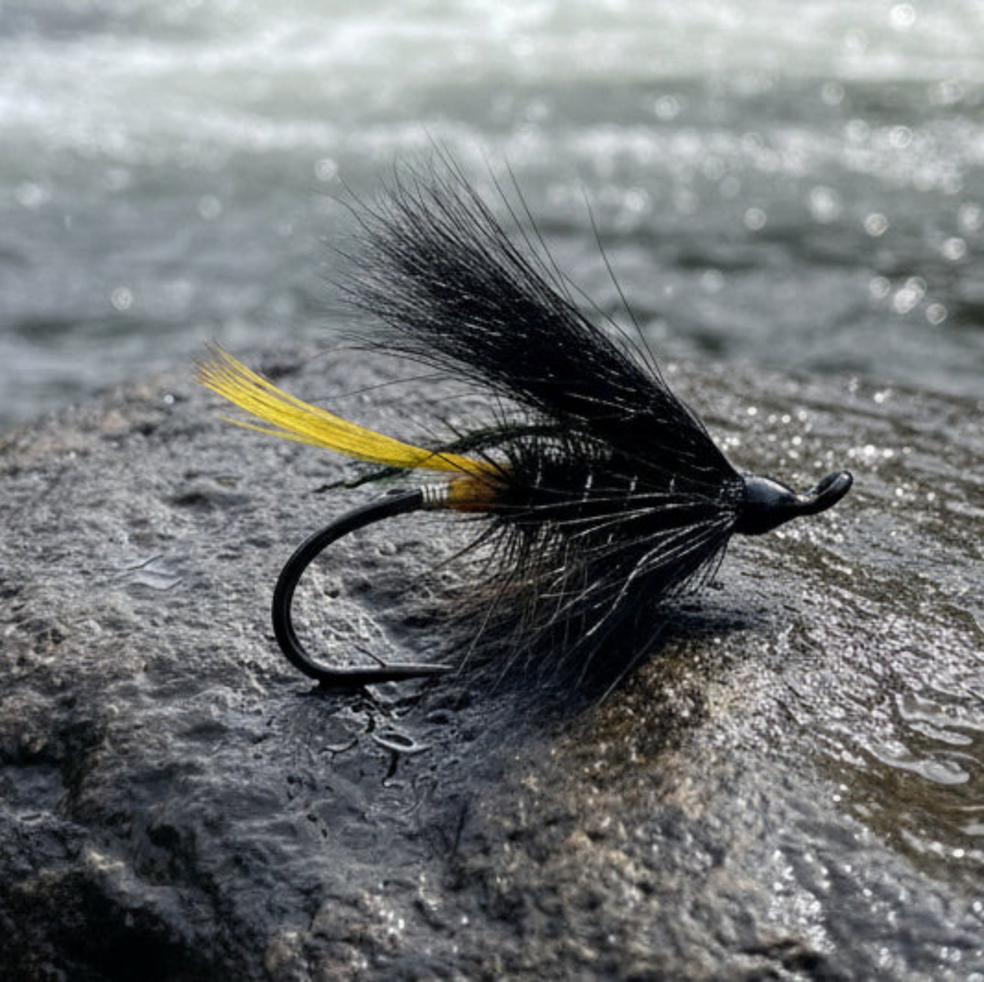 Fishing fly with black and yellow feathers on a light gray background