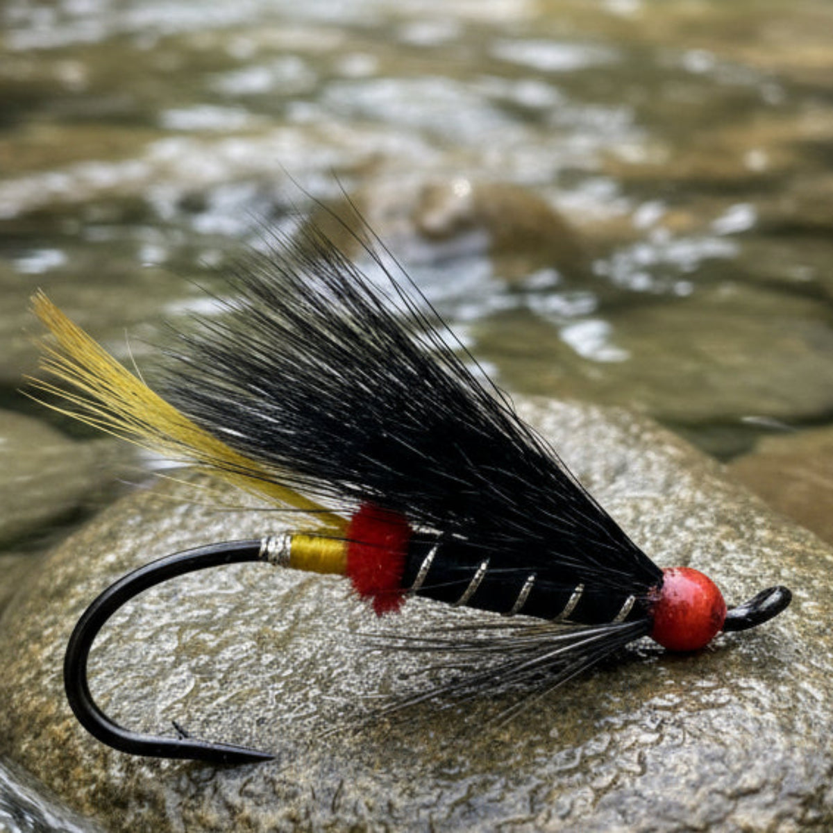 Atlantic Salmon Fly, Black wing and body. red butt and head