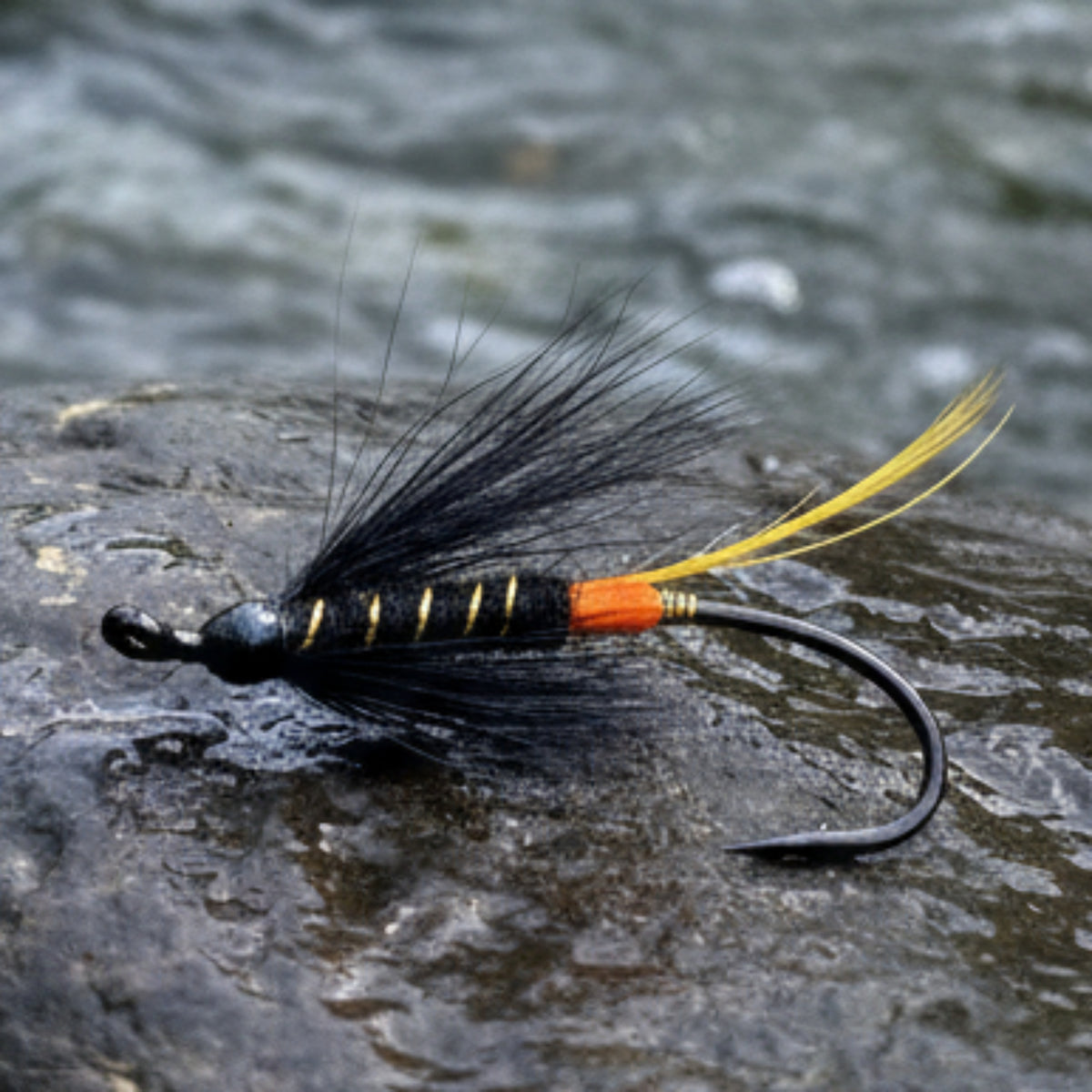 Fishing fly with black and yellow feathers on a light gray background