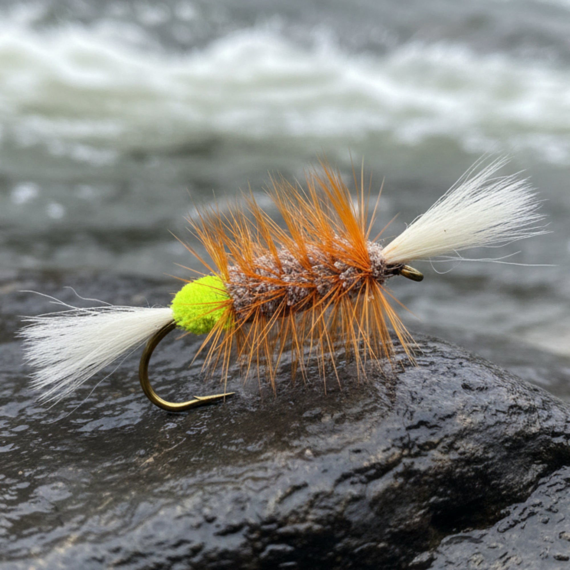 Atalntic salmon bomber fly with chartreuse butt, white tail and wing and orange hackle