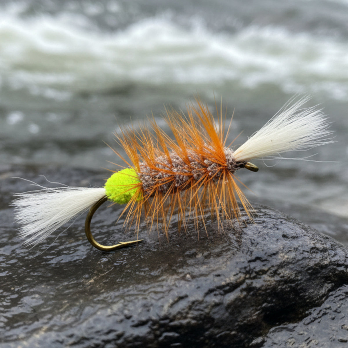 Atalntic salmon bomber fly with chartreuse butt, white tail and wing and orange hackle