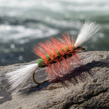 Atlantic Salmon Bomber Fly - Green body with white tail and wing and brown hackle. Resting on a rock in the river