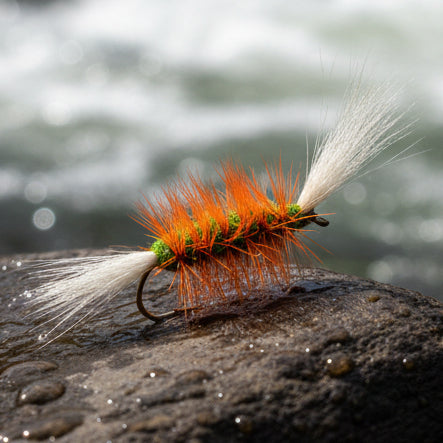 Atlantic salmon bomber fly. Green body, white tail and wing and an orange hackle. Resting on a rock in the river