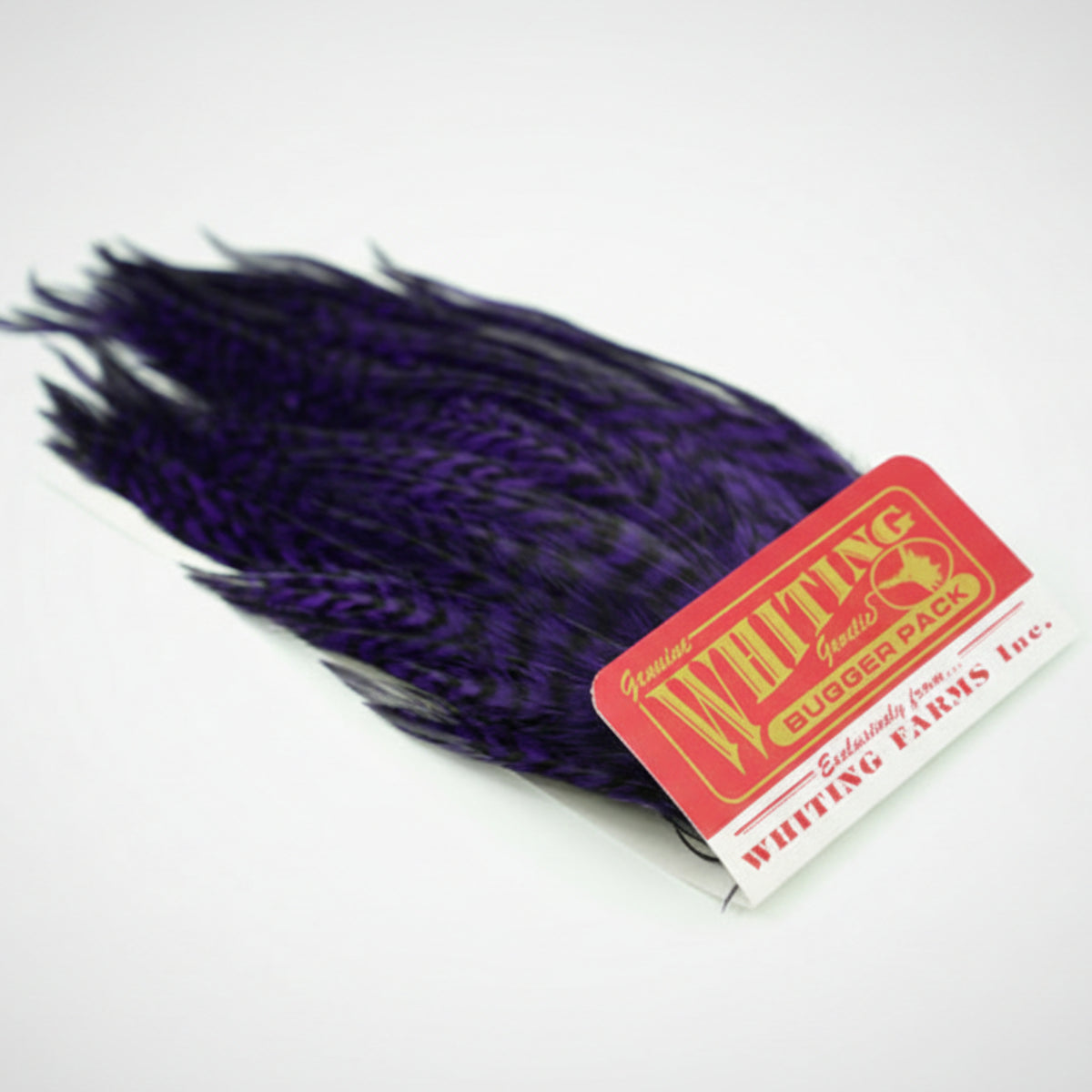 Purple feathers with a Whiting Feather Pack label on a white background