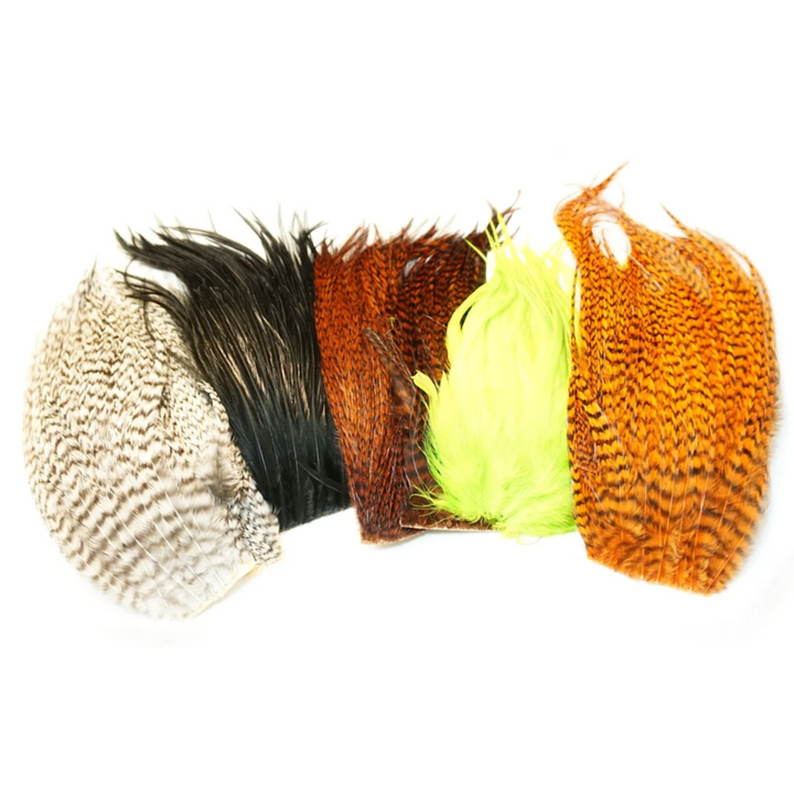 Assorted feathers in different colors on a white background