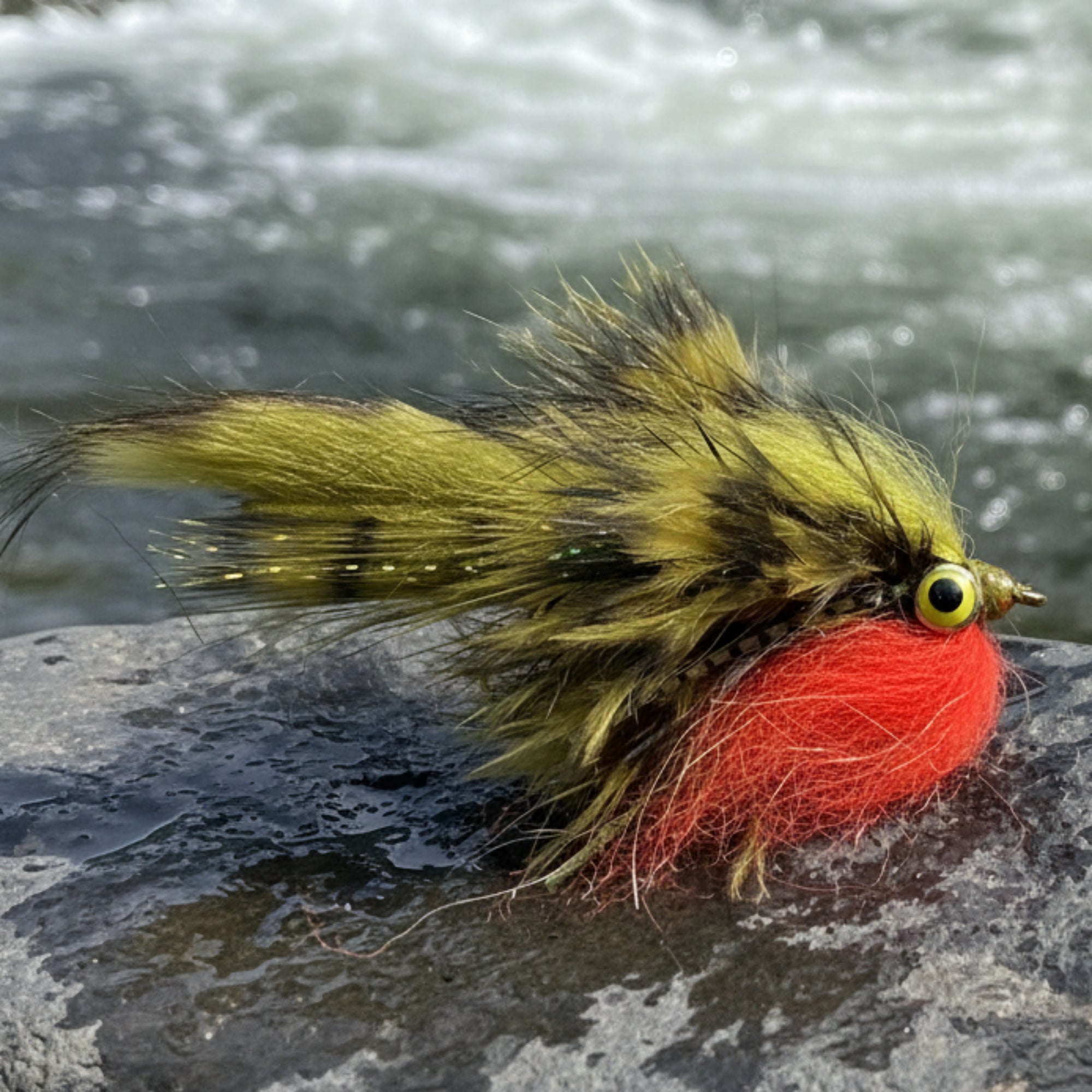 Fishing fly with green and red body on a white background