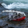 Fishing fly with red body and multicolored feathers on a white background