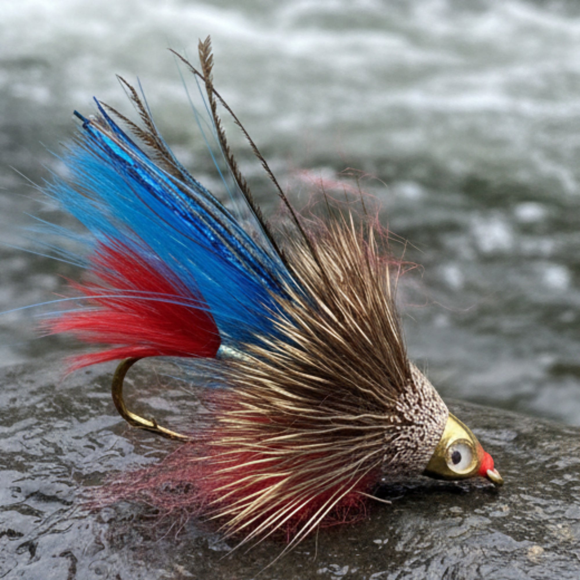 Colorful fly fishing lure with red, blue, and gold feathers on a white background