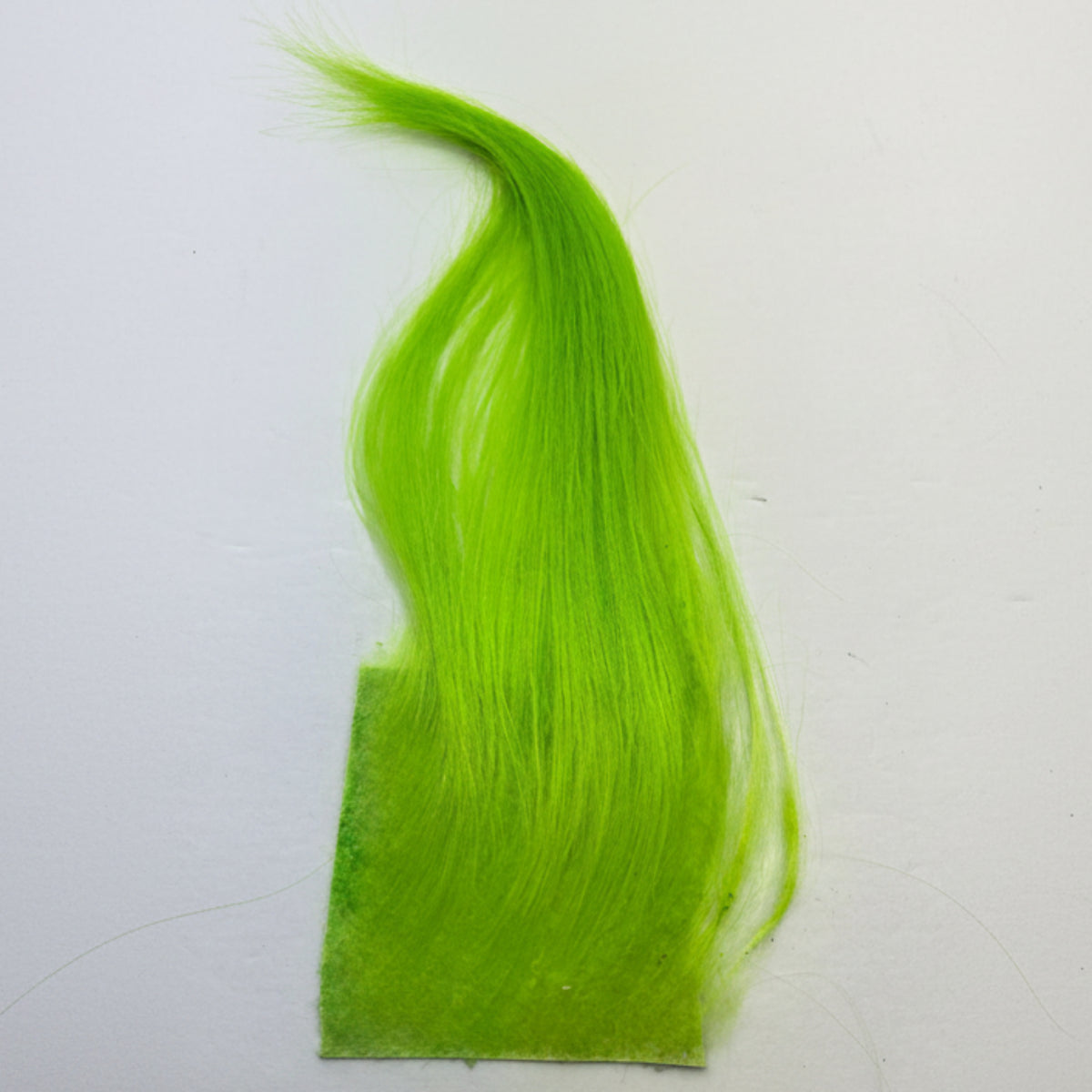 cashmere goat in chartreuse on a white background