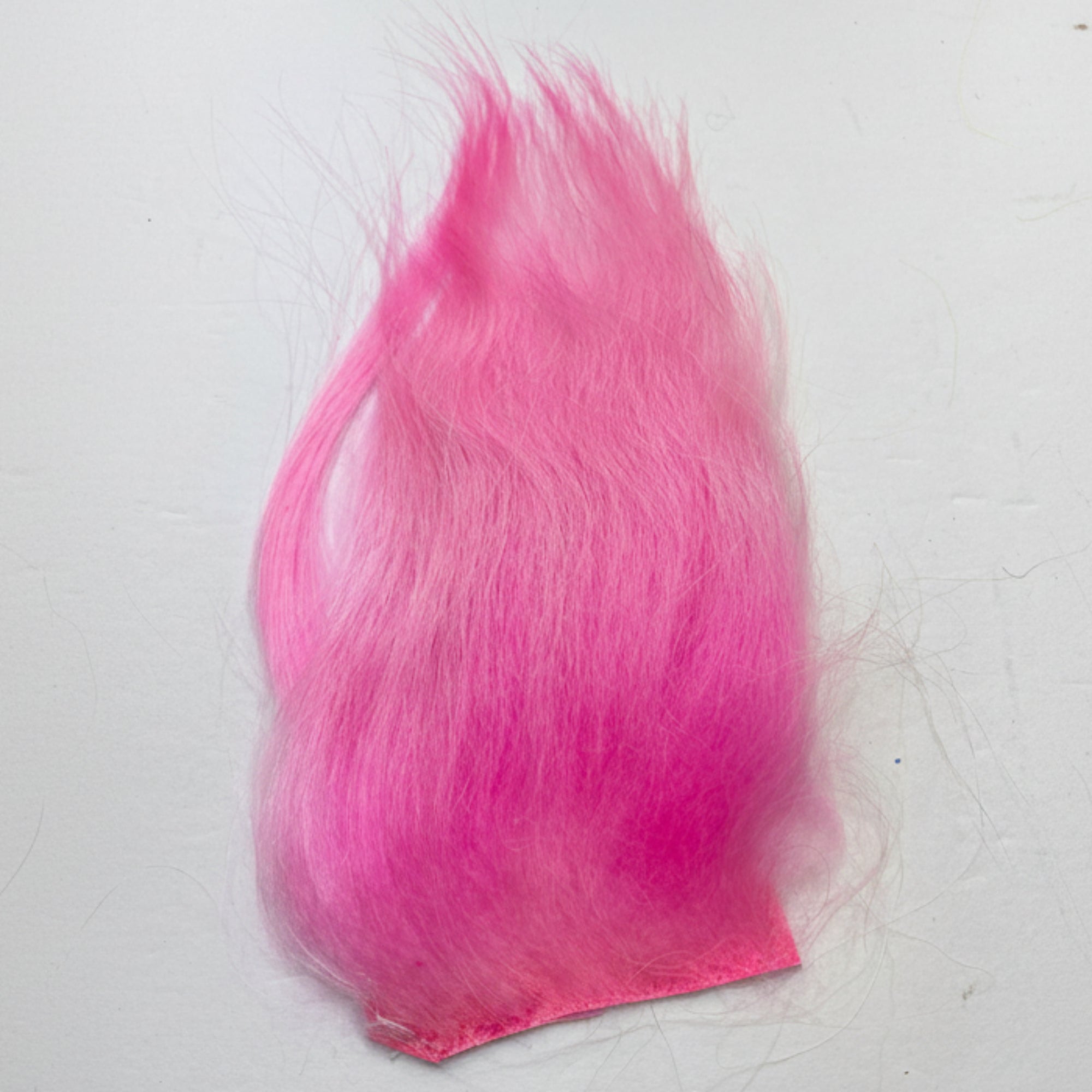 cashmere goat in hot pink on a white background
