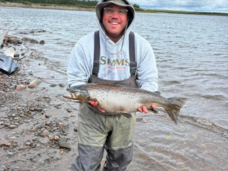 Landlocked Salmon, Labrador