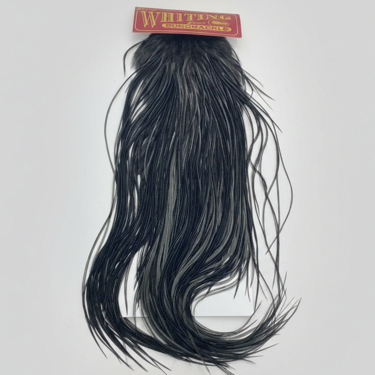Whiting Eurosaddle in black