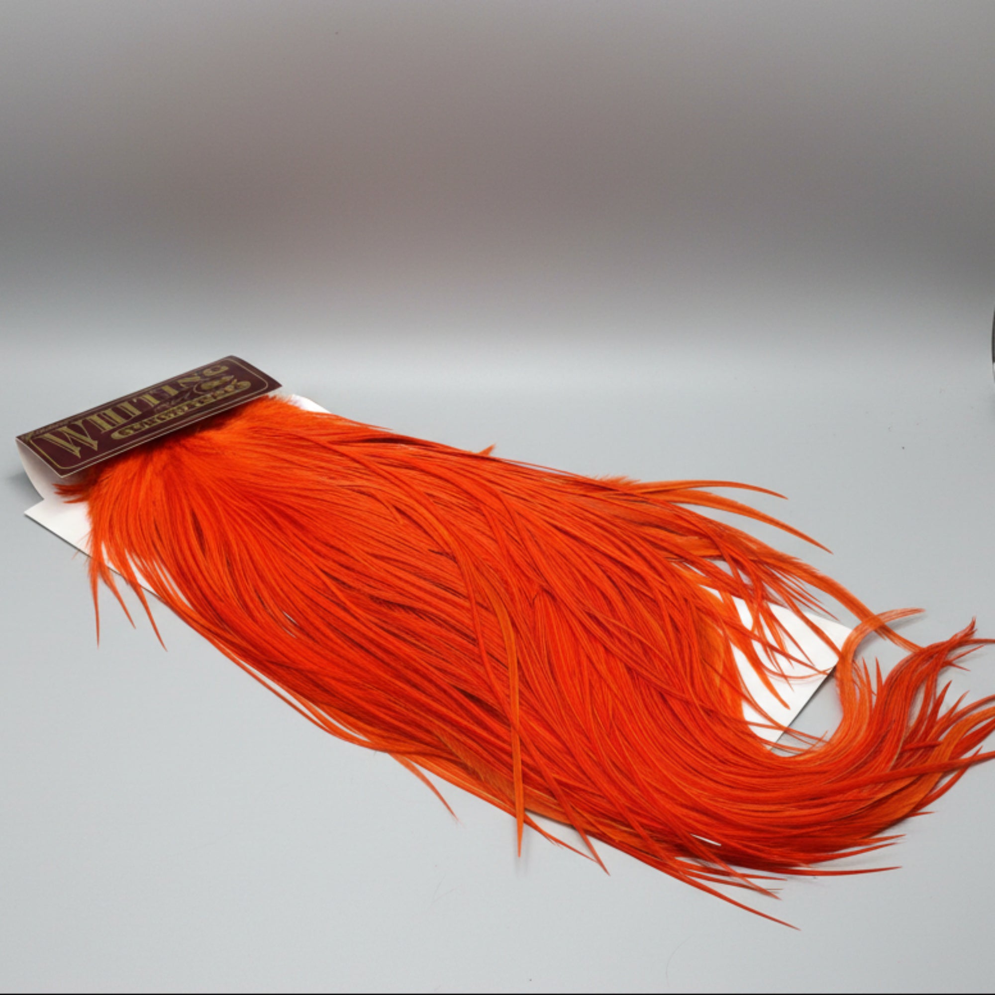 Whting Eurosaddle in Orange