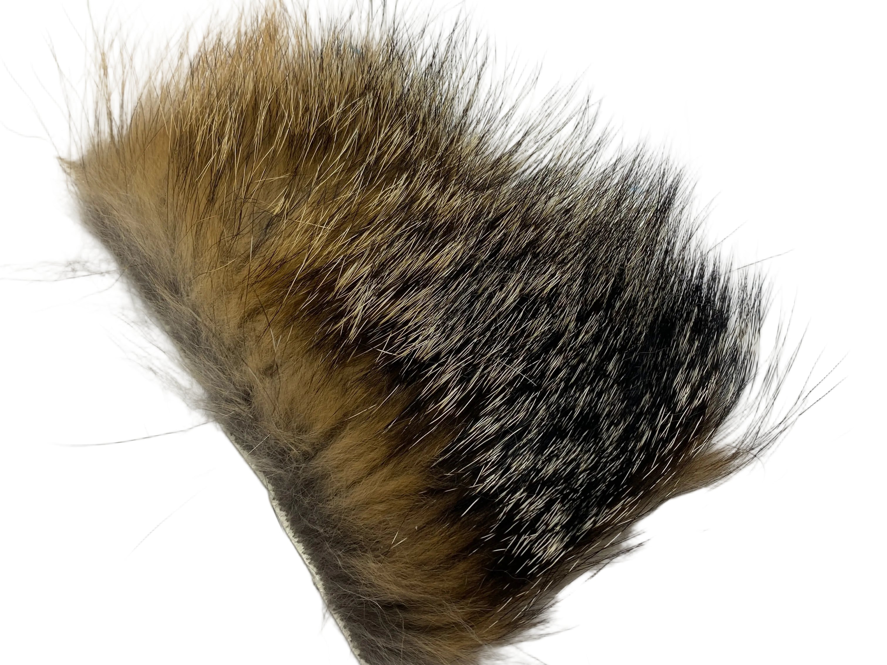 Grey Fox Body Hair