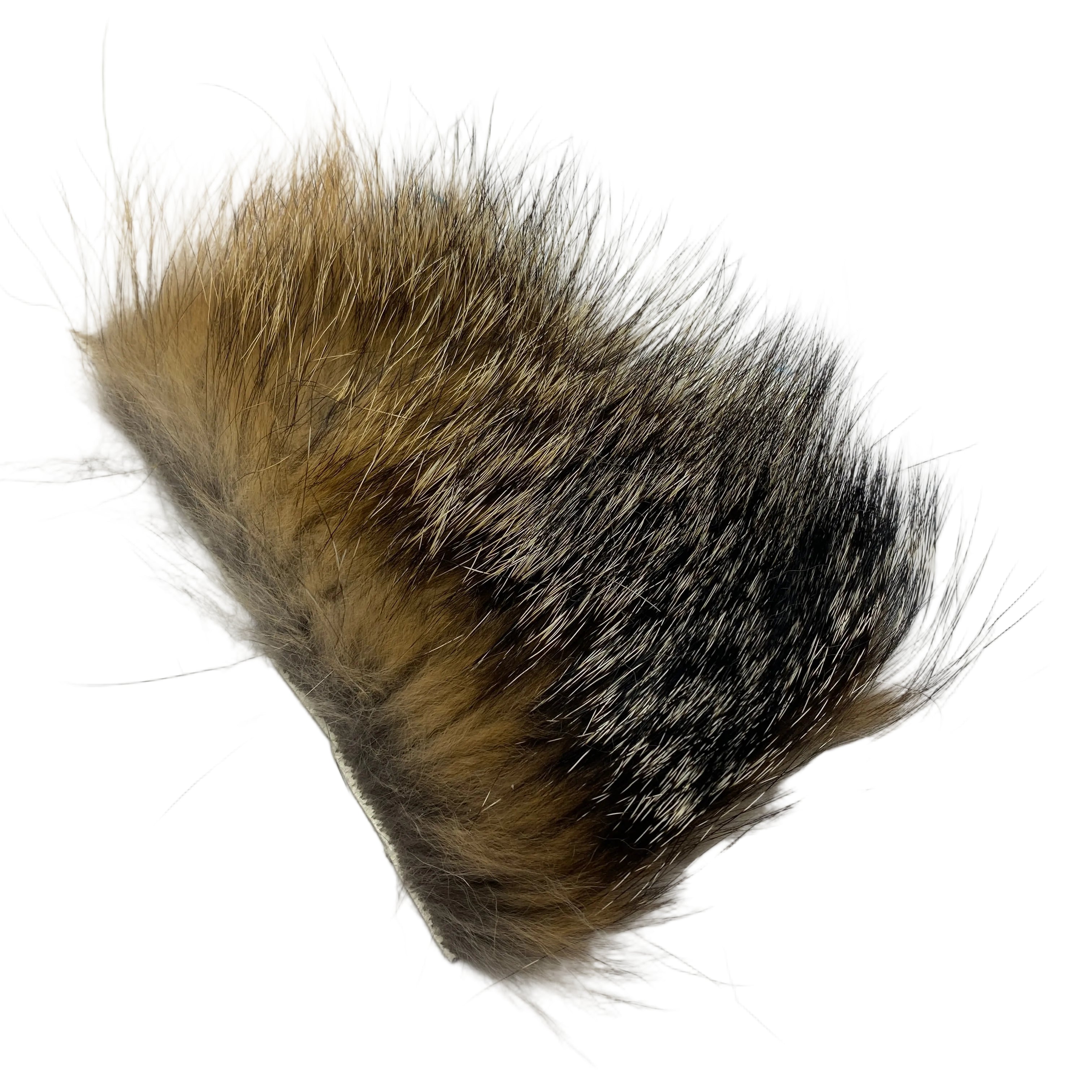 Grey Fox Body Hair