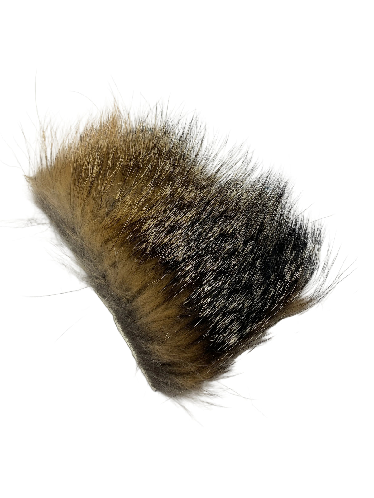 Grey Fox Body Hair