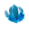 Large Guinea Fowl Feathers - Bulk Pack
