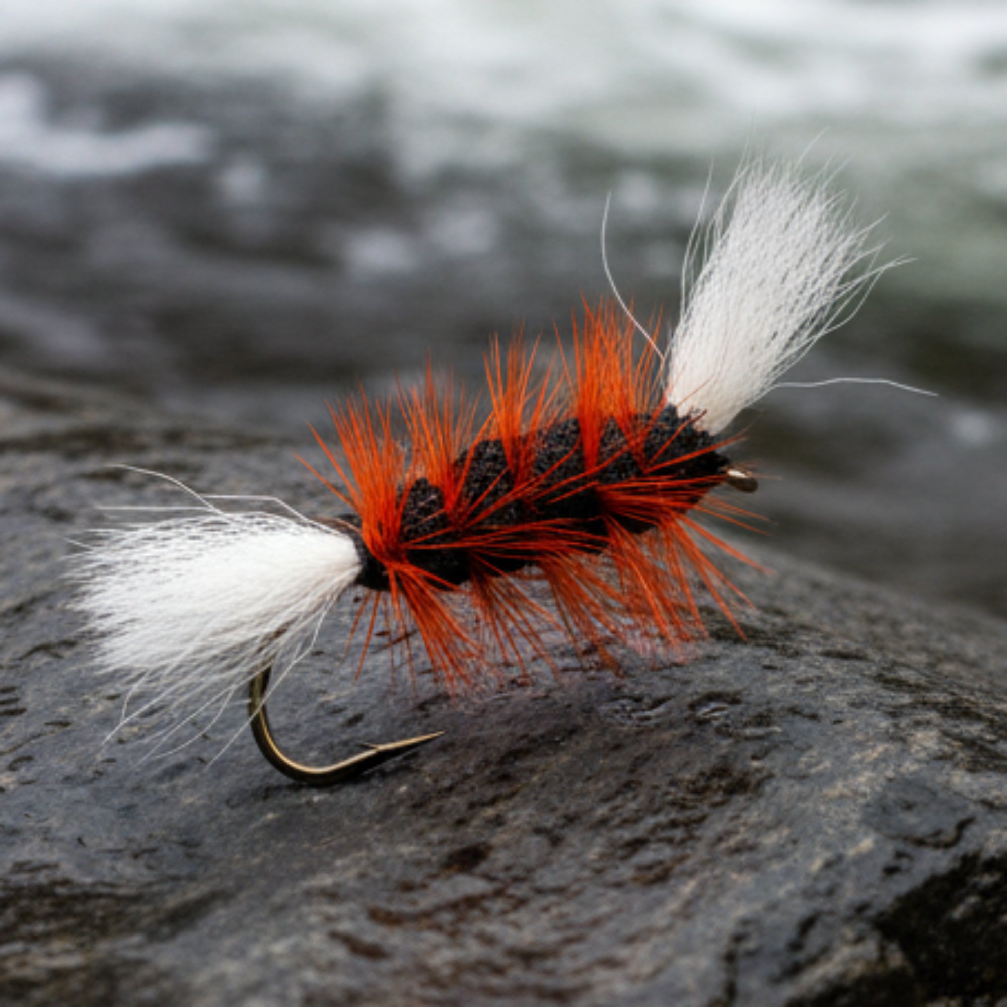 Atlantic Salmon Bomber resting on a rock. Black body with white tail and wing and orange hackle wound through