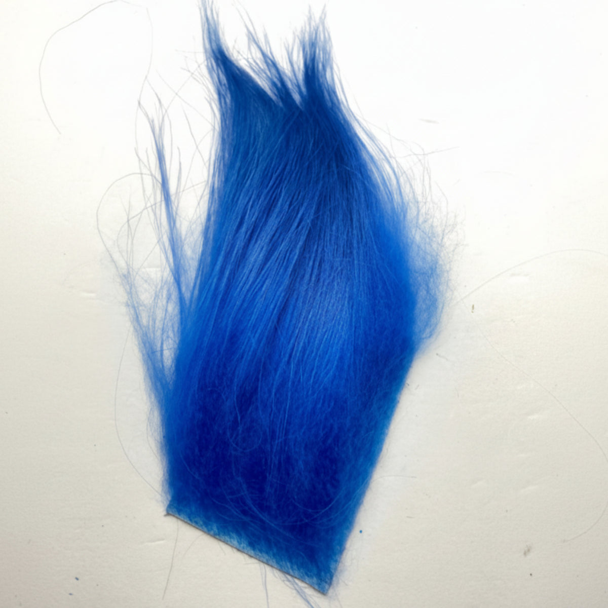 Cashmere goat hair in royal blue