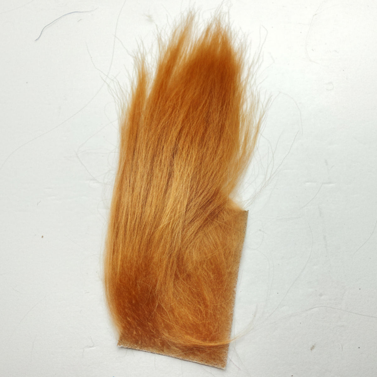 cashmere goat hair on a white backround