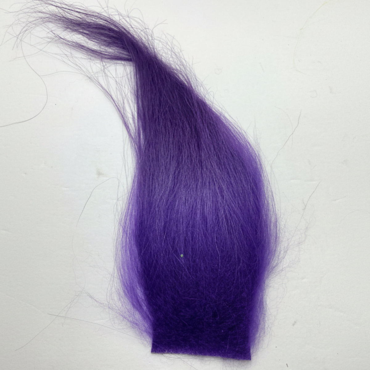 cashmere goat in purple on a white background