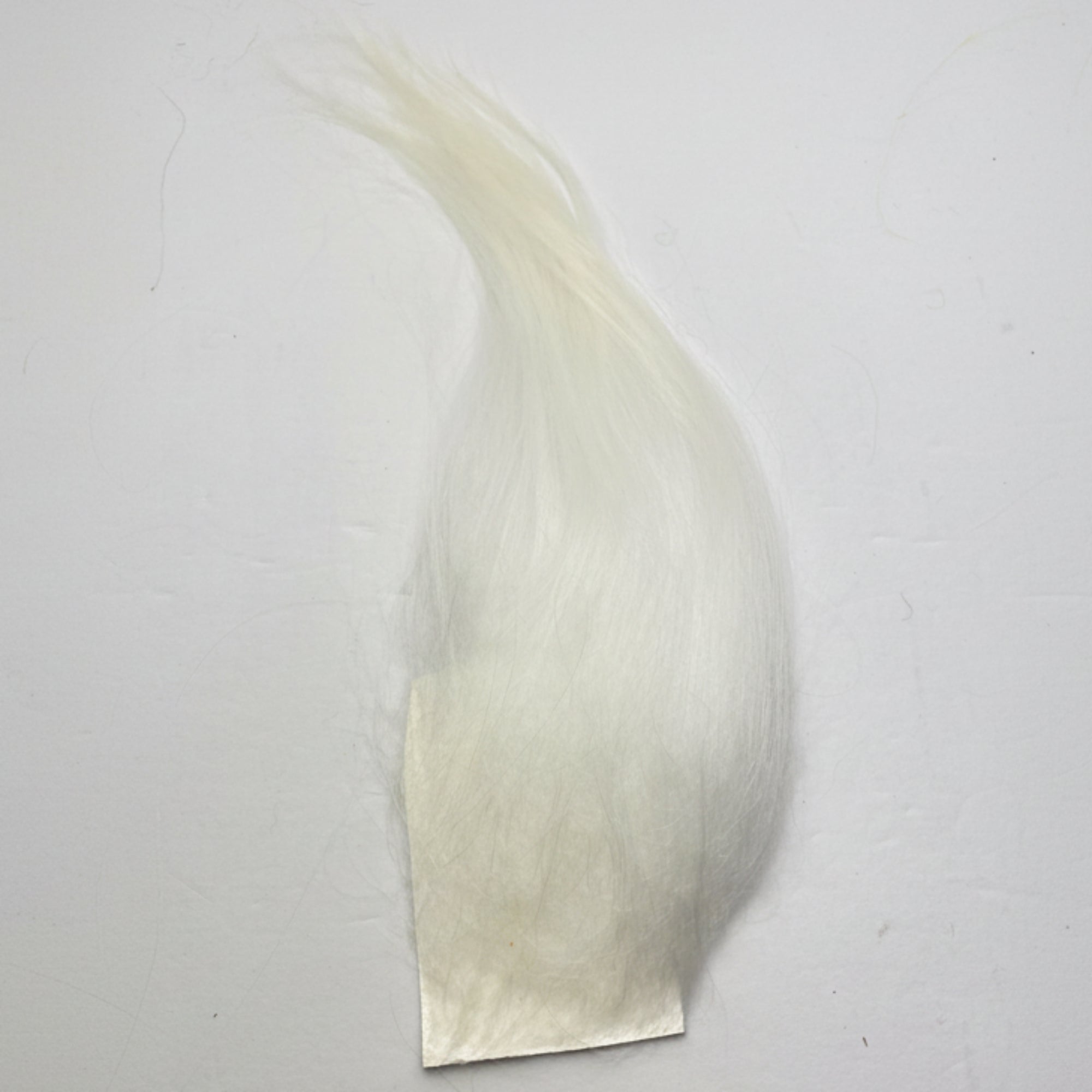 Cashmere goat hair in white on a white background