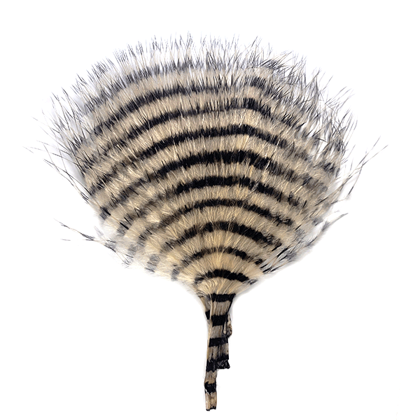 Barred marabou - Tan with black barring