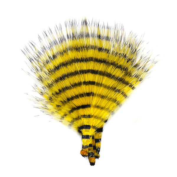 Barred marabou - Yellow with black barring