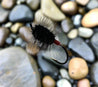 Salmon Bug - Black - Red Butt/Black Hackle