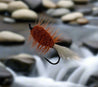 Salmon Bug - Orange - Wht Tl/Orange Hackle