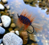 Salmon Bug - Blue - Wht Tl/Orange Hackle