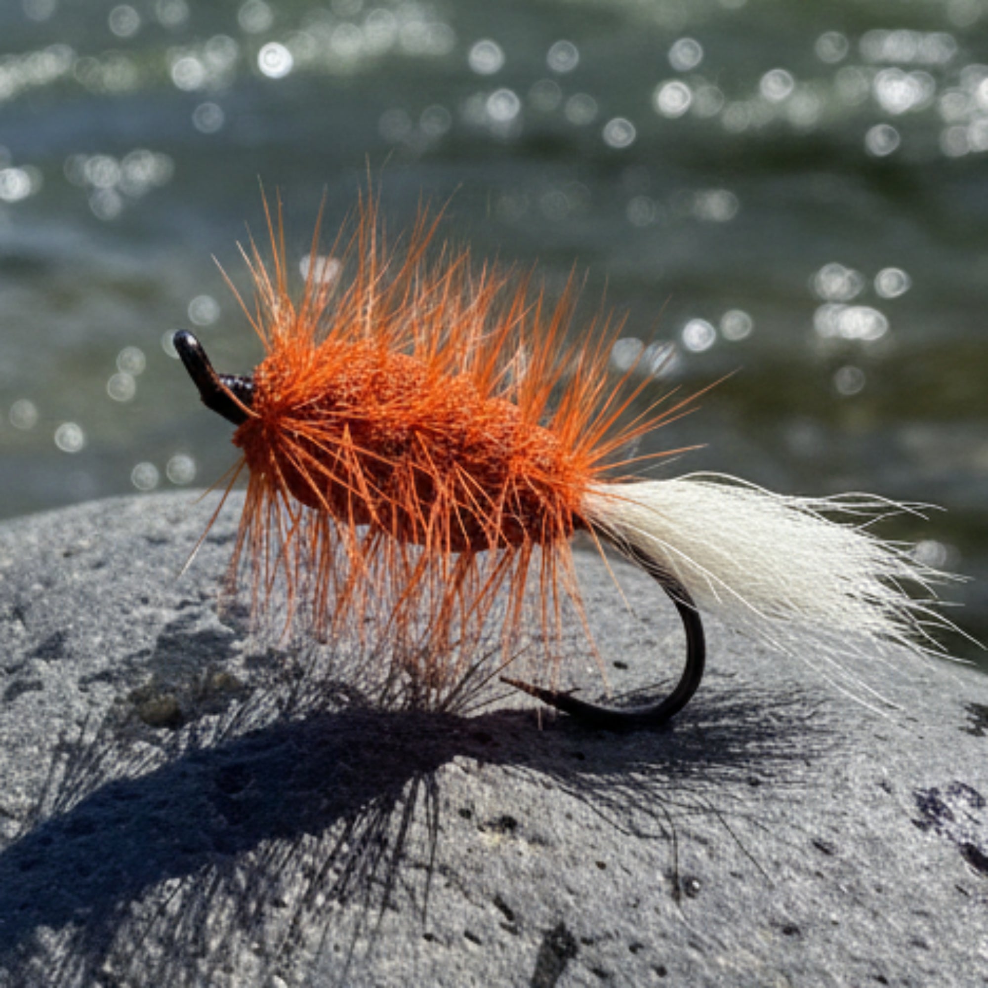Orange body salmon bug with orange hackle and white tail
