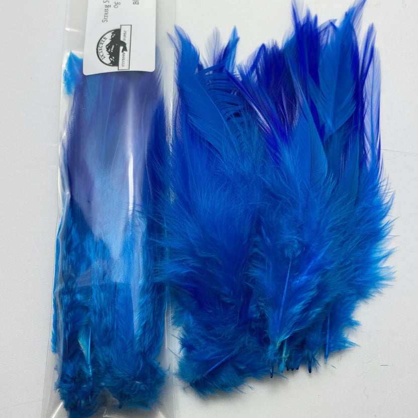 Schlappen feathers - Blue on a white background