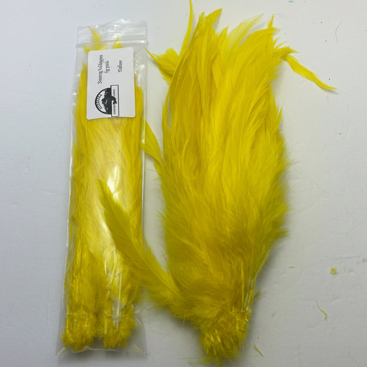 Schlappen feathers in yellow on a white background