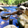Pheasant Tail Nymph