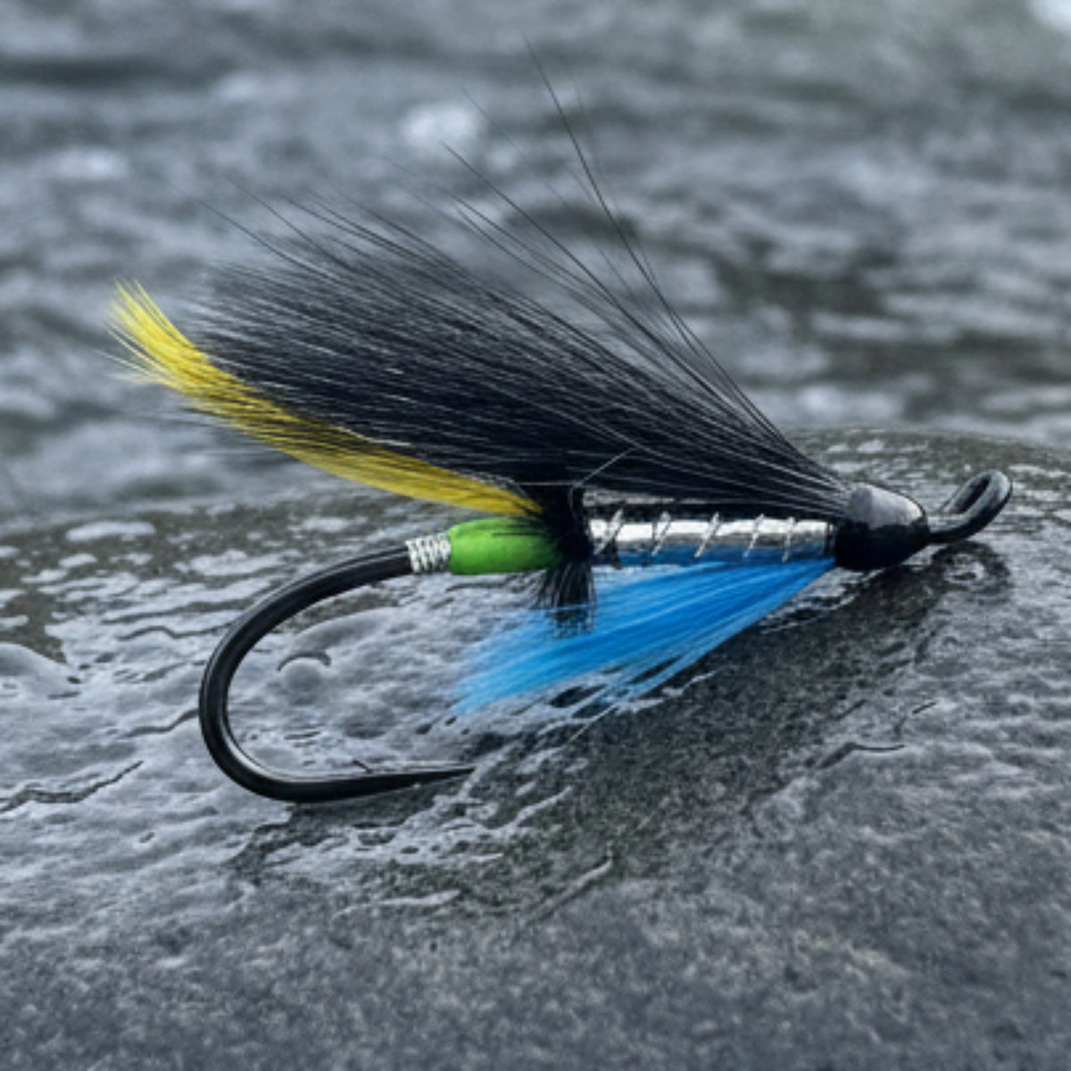 alantic salmon wetfly. silver blue. silver body with black wing and blue throat