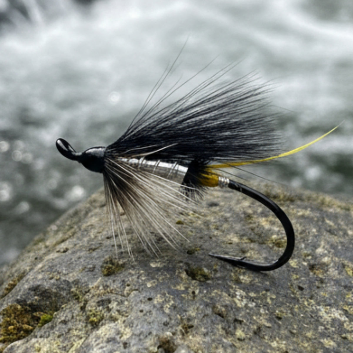 Fishing fly with black and yellow feathers on a white background